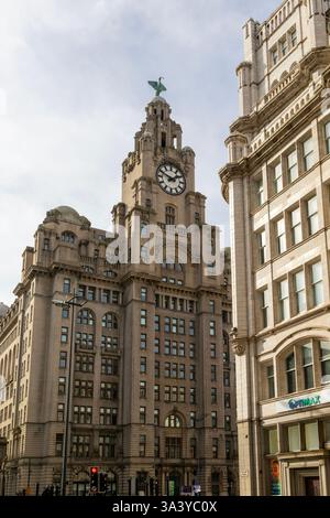 Vue sur le bâtiment Royal Liver de Water Street dans le centre-ville de Liverpool, Angleterre, Royaume-Uni Banque D'Images