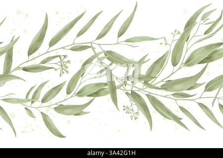 Saule gracieux et branches d'eucalyptus, bordure horizontale sans couture. Illustration numérique de l'aquarelle. Branches de bambou et un olivier sur un bac blanc Banque D'Images