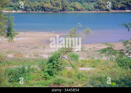 Gwangyang, Corée du Sud - 3 octobre 2021 : un banc de sable le long de la rivière Seomjin avec un héron solitaire pataugant dans l'eau peu profonde. La berge est luxuriante Banque D'Images