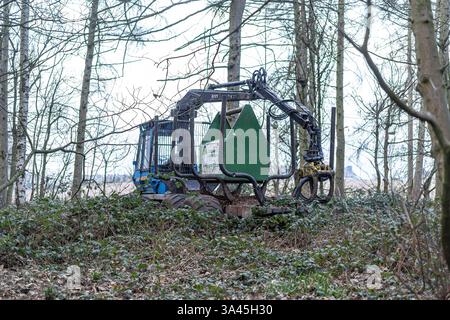 Des machines d'abattage d'arbres sur place après une tempête abattre de nombreux arbres dans une forêt britannique. Banque D'Images