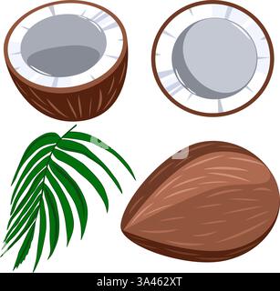 Noix de coco entière et coupée, avec feuilles de palmier. Illustration vectorielle Illustration de Vecteur