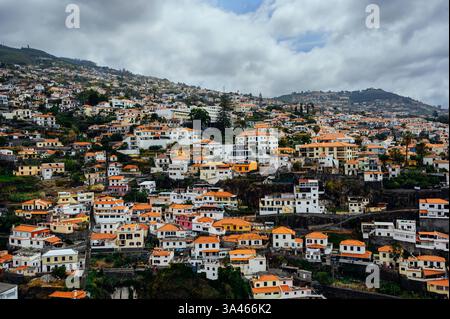 Maisons aux toits en terre cuite rouge sur la colline de Funchal, Madère, Portugal Banque D'Images