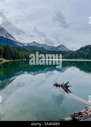 Un lac de montagne tranquille reflétant le ciel nuageux et les sommets boisés. Un morceau de bois flotté altéré flotte dans l'eau, ajoutant un élément d'intérêt Banque D'Images