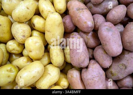 Gros plan de pommes de terre jaunes et rouges à vendre sur le marché de rue à Sao Paulo, Brésil Banque D'Images
