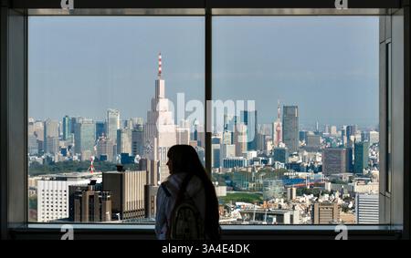 La photo montre la vue sur Tokyo depuis les bâtiments métropolitains du quartier Shinjuku de Tokyo, au Japon. Banque D'Images