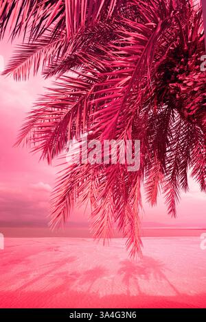 Palmiers contre le ciel du coucher du soleil. Dégradé rose. Belle nature tropicale en soirée. Couleur rouge. Photo verticale Banque D'Images