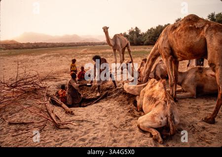 Les éleveurs de chameaux arrosent leurs chameaux sur un puits peu profond dans un lit de rivière sec, Erythrée, 1993 Banque D'Images