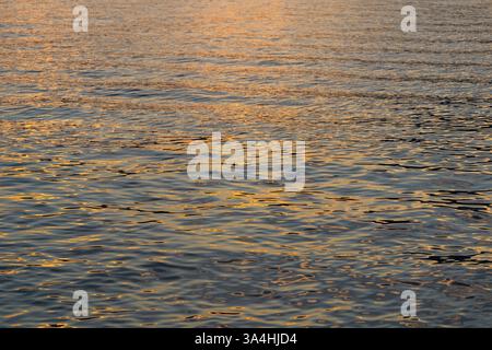 Surface de l'eau reflétant des teintes dorées au coucher du soleil sur un lac tranquille Banque D'Images