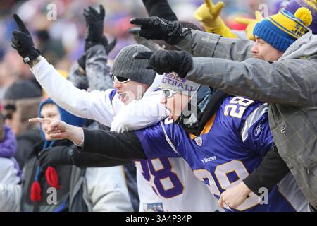28 décembre 2014 : les fans des Vikings du Minnesota encouragent leur équipe lors d'un match NFL entre les Bears de Chicago et les Vikings du Minnesota au stade TCF Bank de Minneapolis, Minnesota. Les Vikings ont vaincu les Bears 13 - 9.(image crédit : © Andy Blenkush/Cal Sport Media/ZUMAPRESS.com) Banque D'Images