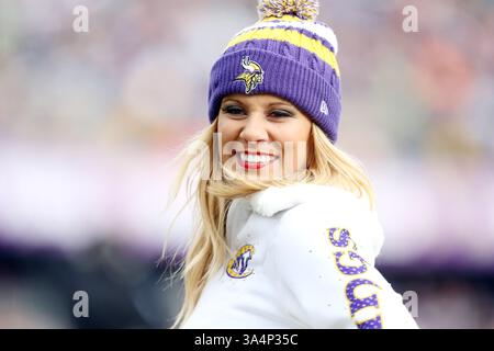 28 décembre 2014 : une cheerleader des Vikings du Minnesota est montrée lors d'un match de NFL entre les Bears de Chicago et les Vikings du Minnesota au stade TCF Bank de Minneapolis, Minnesota. Les Vikings ont vaincu les Bears 13 - 9.(image crédit : © Andy Blenkush/Cal Sport Media/ZUMAPRESS.com) Banque D'Images