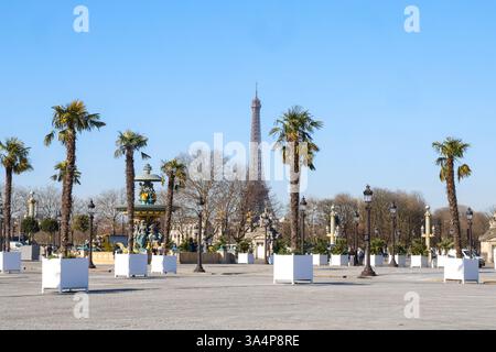 39 PALMIERS ONT ÉTÉ INSTALLÉS SUR LA PLACE DE LA CONCORDE Banque D'Images