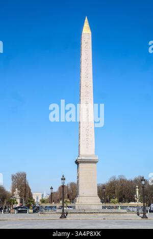 39 PALMIERS ONT ÉTÉ INSTALLÉS SUR LA PLACE DE LA CONCORDE Banque D'Images