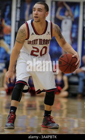17 janv. 2015 - Moraga CA - Saint Mary's G # 20 Aaron Bright à mi-terrain regarde la défense de BYU pendant le match de basket-ball masculin de la NCAA entre les Cougars de BYU et la victoire des Gaels de Saint Mary's 82-77 au Mc Kean Pavilion Moraga Calif. (Crédit image : © Thurman James/Cal Sport Media/ZUMAPRESS.com) Banque D'Images