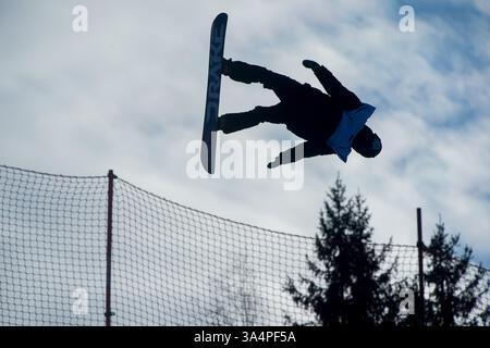19 janvier 2015 - Kreischberg, Styrie, Autriche - un athlète non identifié participe à la qualification de snowboard Slopestyle aux Championnats du monde de ski freestyle et de snowboard 2015 à Kreischberg, Autriche, le 19 janvier 2015 (crédit image : © Christian Bruna/ZUMA Wire/ZUMAPRESS.com) Banque D'Images