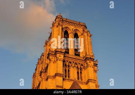 Une tour de notre Dame de Paris au coucher du soleil avec une belle lumière du soleil Banque D'Images