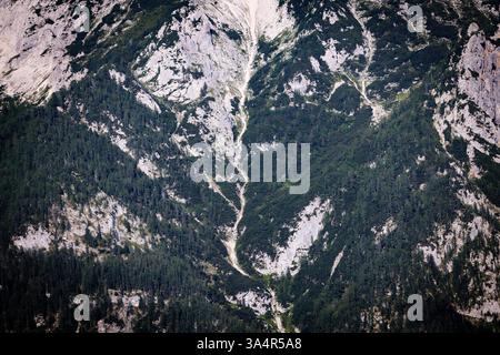 Montagne Ridge avec forêt et terrain rocheux vu d'Afar Banque D'Images