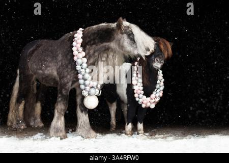 Poneys Banque D'Images