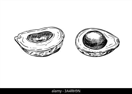 Deux moitiés de vecteur d'avocat illustration isolée peinte par des encres noires. Découpe monochrome de tranches de légumes gravant le dessin. Fruits tropicaux d'été Illustration de Vecteur