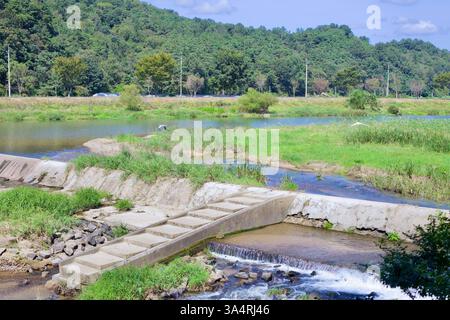 Comté de Damyang, Corée du Sud - 23 septembre 2020 : un petit barrage en béton le long de la rivière Yeongsan près du centre-ville de Damyang. La rive est bordée de lu Banque D'Images