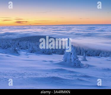 Ambiance matinale sur le Brocken, vue sur le paysage hivernal enneigé avec forêt d'épinettes enneigées et mer de brouillard à l'aube, au-dessus des nuages, je Banque D'Images