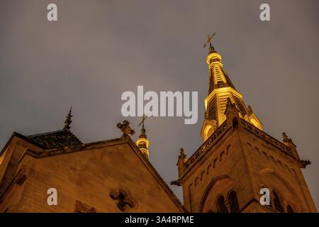 Belle Cathédrale Collegiale de Neuchâtel contre ciel au crépuscule dans la ville de Neuchâtel, Canton Neuchâtel, Suisse, Europe Banque D'Images