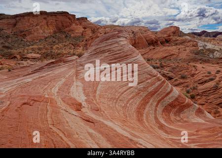 Formation de roches rouges colorées dans le parc national Valley of Fire Banque D'Images