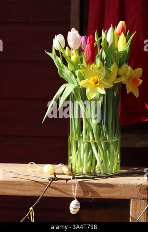 Bouquet de tulipes et jonquilles dans un vase en verre sur fond rouge Banque D'Images