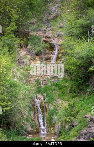 Une colline rocheuse présente une petite cascade descendant, entourée de plantes et d'arbres verdoyants, créant une atmosphère paisible. La scène c Banque D'Images