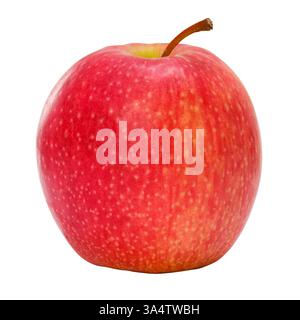 Pomme Royal Gala rouge brillant (ou Cox ou Braeburn), isolée sur fond blanc Banque D'Images