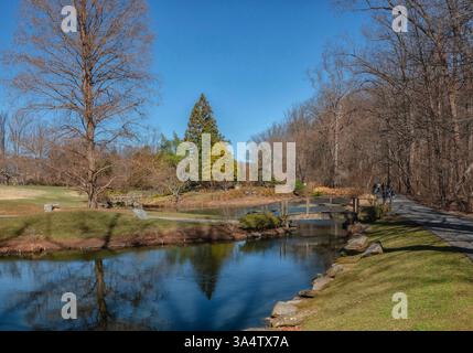 Un pont en bois sur un étang dans le parc. Banque D'Images