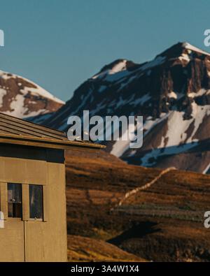 Deux macareux de l'Atlantique reposent sur un toit avec des montagnes à Borgafjordur Eystri, en Islande. Banque D'Images