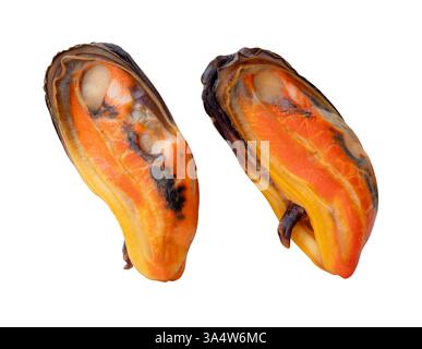 Vue de côté ensemble de deux moules vertes cuites dans la viande rouge sans coquille est isolé sur fond blanc avec chemin de découpage. Banque D'Images
