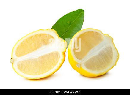 Vue de face de fruits de citron jaune mûr ou de tranches en deux ellipses ou moitiés ovales avec feuille verte est isolé sur fond blanc avec chemin de découpage. Banque D'Images