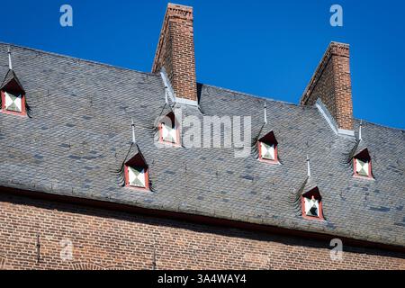 beaucoup de petites lucarnes avec volets blanc-vert sur le toit d'un château médiéval en allemagne Banque D'Images