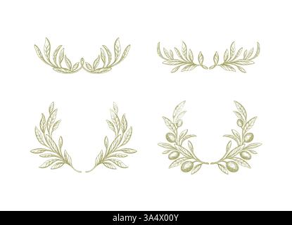 Ensemble de couronne d'olive. Feuillage vert, motif vintage. Branche de texture d'art isolée. Ornement grec de vecteur, frontière élégante pour le décor de mariage. Illustration de Vecteur