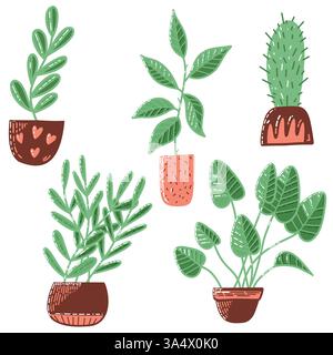 Plantes vertes dessinées à la main dans l'illustration décorative de pots de fleurs Illustration de Vecteur