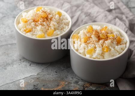 Bol de délicieux pudding de riz avec cannelle, vanille et raisins secs en gros plan sur la table. Horizontal Banque D'Images