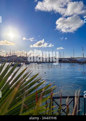 Une marina sereine à Malte au lever du soleil. Les eaux calmes, les yachts amarrés et la lumière dorée du soleil créent une atmosphère paisible. Banque D'Images