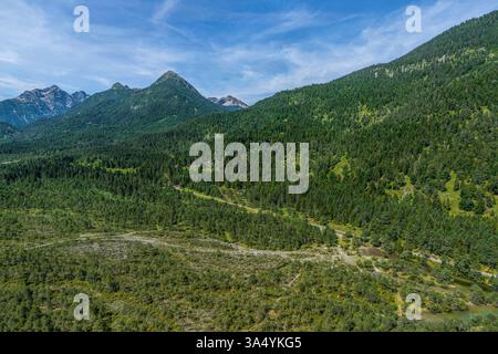 Vue sur les forêts de genièvre sur le Tiroler Lech près de Forchach Banque D'Images