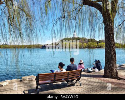 Pékin, Chine. 20 mars 2025. Cette photo prise avec un téléphone portable le 20 mars 2025 montre des gens se reposant sous des saules au parc Beihai à Pékin, capitale de la Chine. L'équinoxe de printemps, ou Chunfen en chinois, le quatrième terme solaire du calendrier lunaire chinois, tombe le 20 mars de cette année. Crédit : Xu Jinquan/Xinhua/Alamy Live News Banque D'Images
