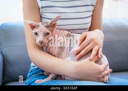 Femme asiatique avec un chat sur ses genoux assise sur un canapé dans une clinique vétérinaire. Idéal pour les soins des animaux de compagnie, les services vétérinaires et les communications sur la santé animale. Convient pour le contenu sur les familles avec animaux de compagnie, conseils de soin des animaux de compagnie et visites vétérinaires. Banque D'Images