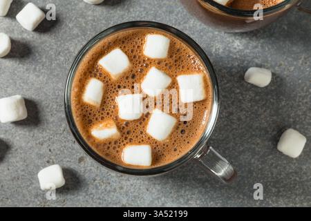 Chocolat chaud doux fait maison avec guimauves dans une tasse Banque D'Images