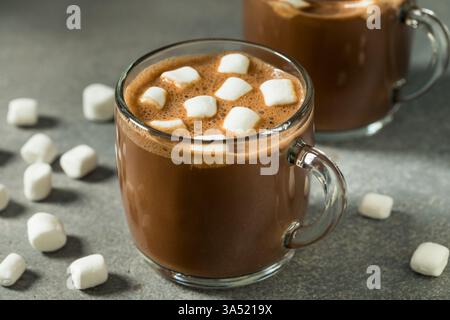 Chocolat chaud doux fait maison avec guimauves dans une tasse Banque D'Images