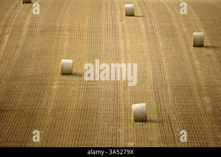 Un champ de grains récoltés et fauchés avec des rouleaux de paille Banque D'Images