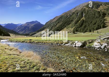 Le flux transparent rugueux s'écoule rapidement vers le bas. Les pentes de montagne sont couvertes d'épaisse forêt de pins de vallée alpine Banque D'Images