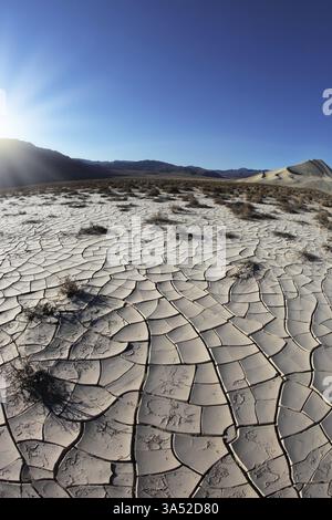 Lever de soleil dans la vallée de la mort. Brosse sèche sur un sol blanc fissuré. Objectif Rhotograph Fisheye Banque D'Images