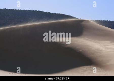 Réserver Coral sand dunes aux États-Unis. Le lever du soleil, la brise matinale Banque D'Images