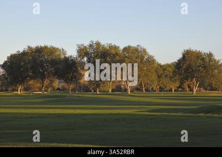 Un magnifique parcours de golf en herbe verte et des arbres pittoresques soulignent les rayons chauds du coucher de soleil Banque D'Images