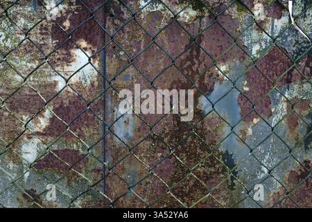 Une porte en fer fortement rouillée avec des bulles de rouille endommagent derrière une clôture en treillis métallique Banque D'Images