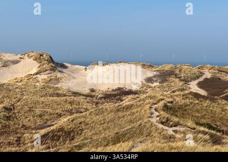 Dunes à la plage près de Hvide Sande au Danemark Banque D'Images